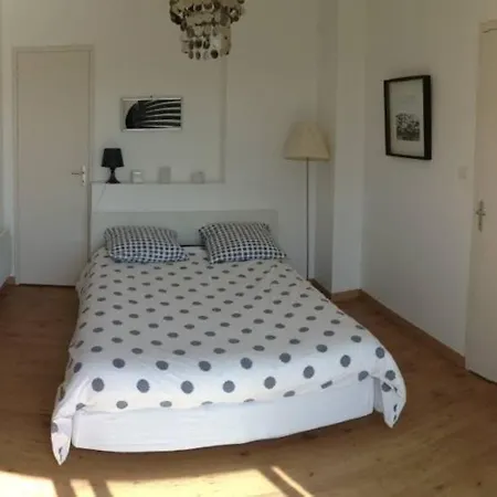 Maison Architecte Bois Du Kador A Morgat Crozon