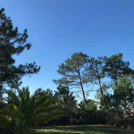 Maison Architecte Bois Du Kador A Morgat Crozon